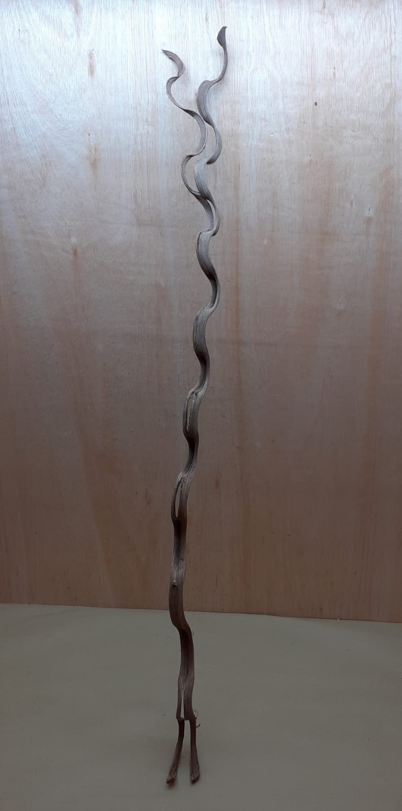Monkey Ladder Liana - Long - 18