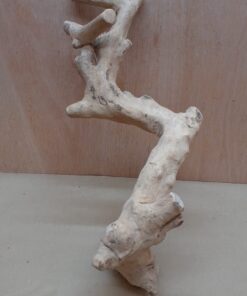 Java Wood - Single Stem - Large 14