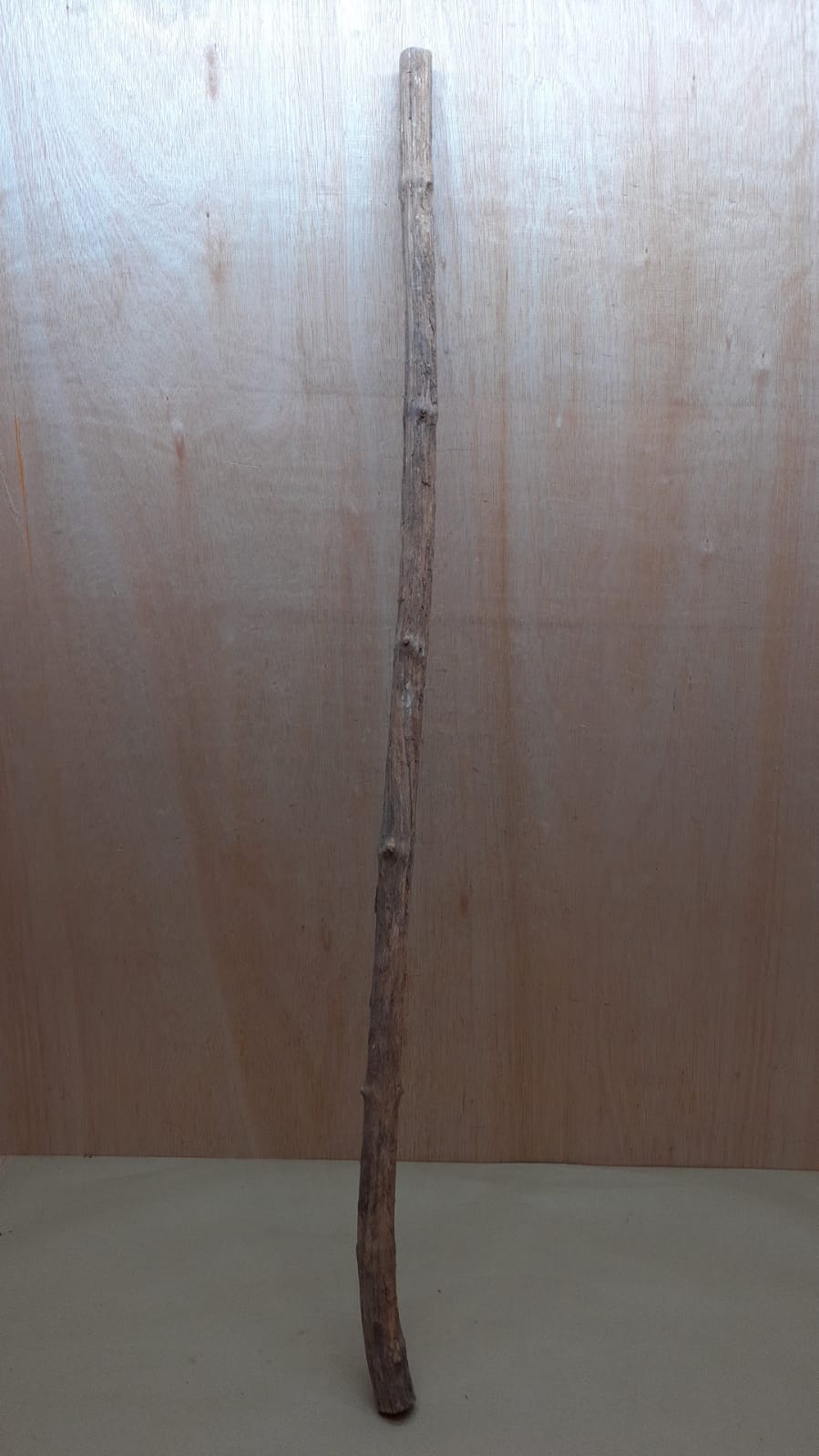 Straight Liana 2-3cm - Long - 13