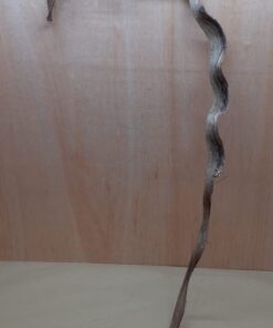 Monkey Ladder Liana - Long - 19