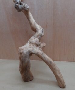 Java Wood - Double Stem - XL 20