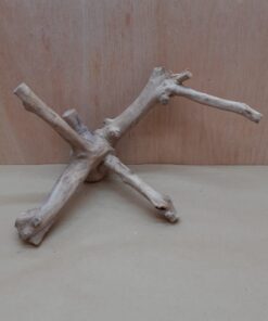 Java Wood - Double Stem - Medium 15