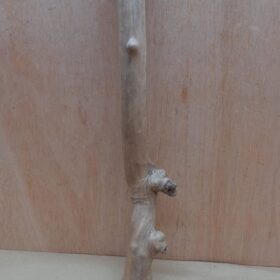 Java Wood - Single Stem - Large 19