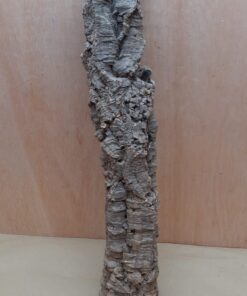 Small Cork Tube - 40-60cm - 22