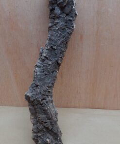 Small Cork Tube - 40-60cm - 24