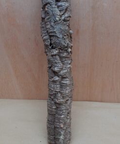 Small Cork Tube - 40-60cm - 25