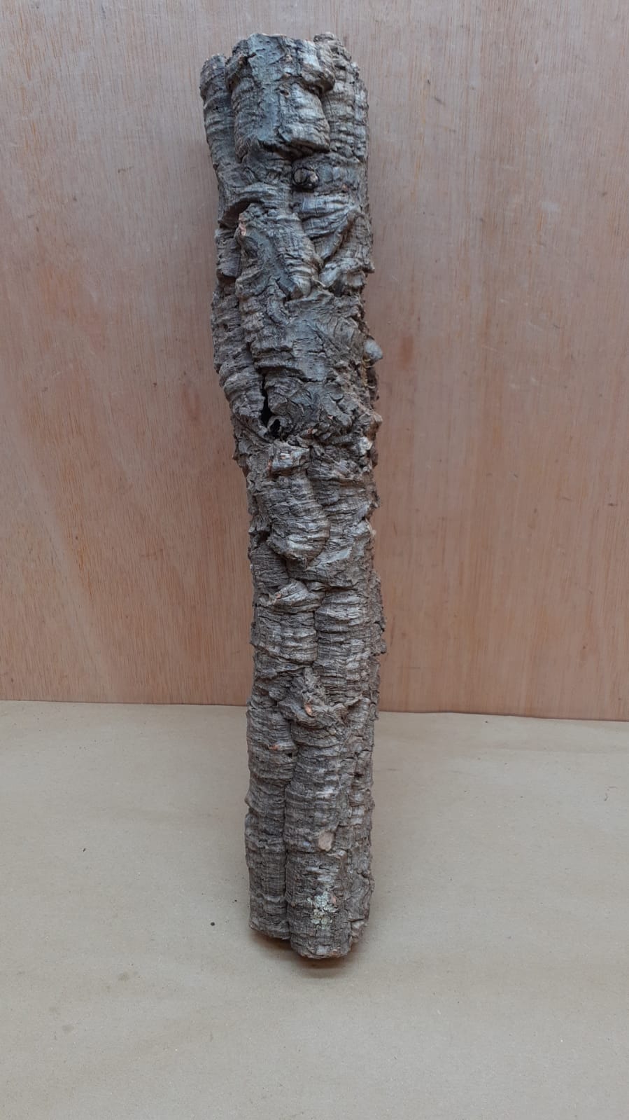 Small Cork Tube - 40-60cm - 25