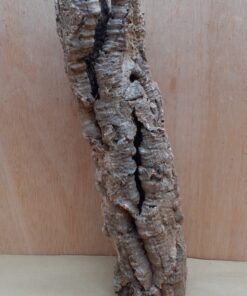 Small Cork Tube - 40-60cm - 27