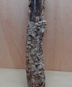 Small Cork Tube - 40-60cm - 28