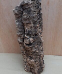 Small Cork Tube - Upto 40cm - 23