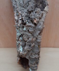 Small Cork Tube - Upto 40cm - 27