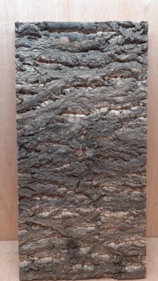 Cork Bark Background Panel 30x60cm - 11