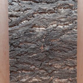 Cork Bark Background Panel 30x60cm - 11