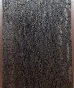 Cork Bark Background Panel 90x60cm - 12