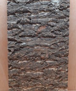 Cork Bark Background Panel 30x60cm - 12