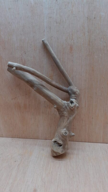 Java Wood - Double Stem - Small 12