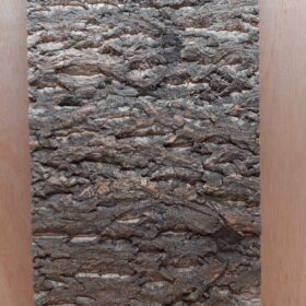 Cork Bark Background Panel 30x60cm - 13