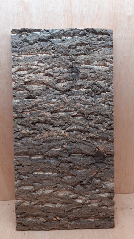 Cork Bark Background Panel 30x60cm - 13