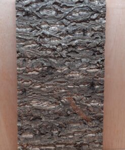 Cork Bark Background Panel 30x60cm - 14