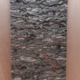 Cork Bark Background Panel 30x60cm - 14