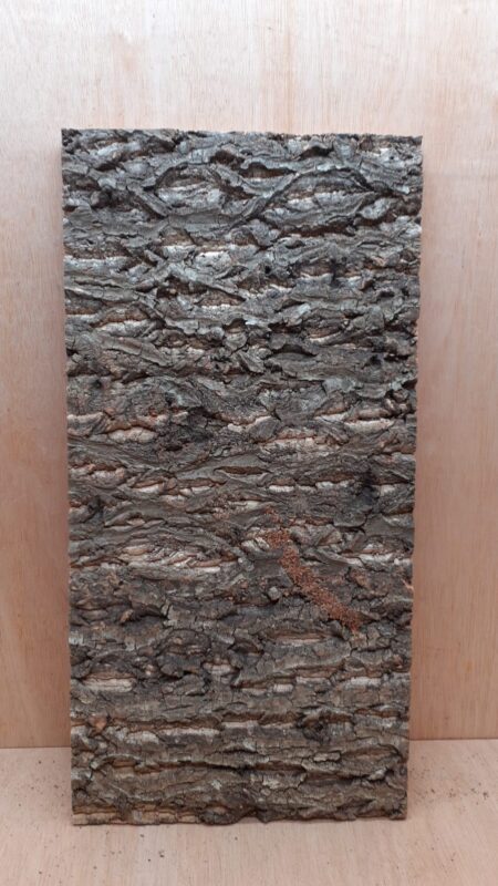 Cork Bark Background Panel 30x60cm - 14
