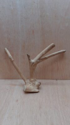 Java Wood - Double Stem - Small 14