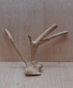 Java Wood - Double Stem - Small 14