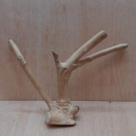 Java Wood - Double Stem - Small 14