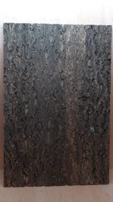 Cork Bark Background Panel 90x60cm - 15