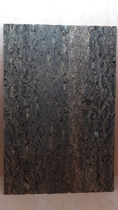 Cork Bark Background Panel 90x60cm - 15