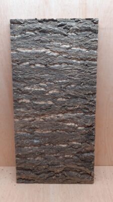 Cork Bark Background Panel 30x60cm - 16