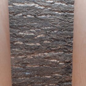 Cork Bark Background Panel 30x60cm - 16