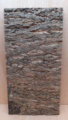 Cork Bark Background Panel 30x60cm - 17
