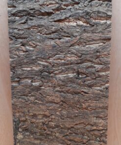 Cork Bark Background Panel 30x60cm - 17