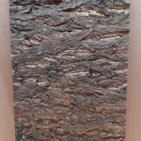 Cork Bark Background Panel 30x60cm - 17