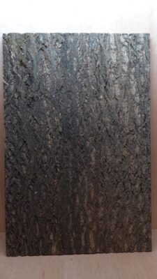 Cork Bark Background Panel 90x60cm - 17