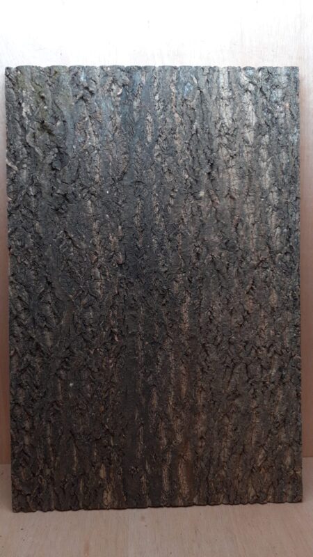 Cork Bark Background Panel 90x60cm - 17