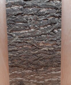 Cork Bark Background Panel 30x60cm - 18