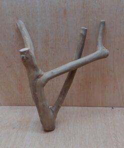 Java Wood - Double Stem - Small 18