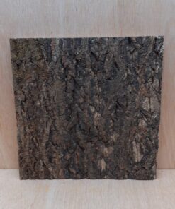 Cork Bark Background Panel 30x30cm - 18