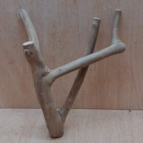 Java Wood - Double Stem - Small 18