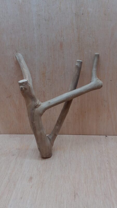 Java Wood - Double Stem - Small 18