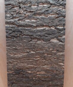 Cork Bark Background Panel 30x60cm - 19
