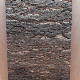 Cork Bark Background Panel 30x60cm - 19
