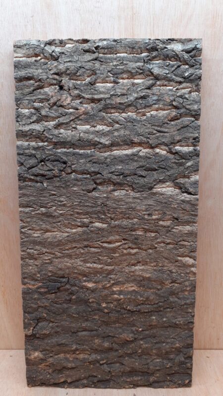 Cork Bark Background Panel 30x60cm - 19