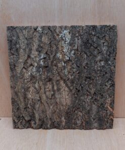 Cork Bark Background Panel 30x30cm - 19