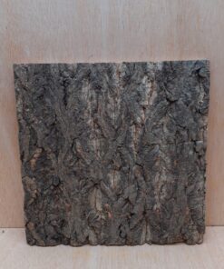 Cork Bark Background Panel 30x30cm - 20