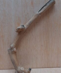 Java Wood - Single Stem - Small 11