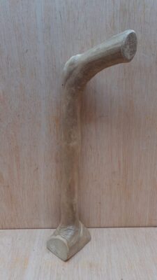Java Wood - Single Stem - Small 13