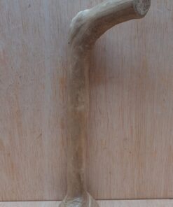 Java Wood - Single Stem - Small 13